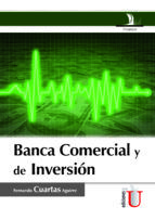 Portada de BANCA COMERCIAL Y DE INVERSION (Ebook)