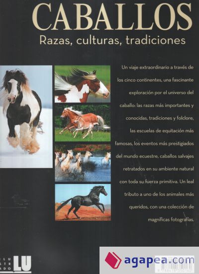 Caballos