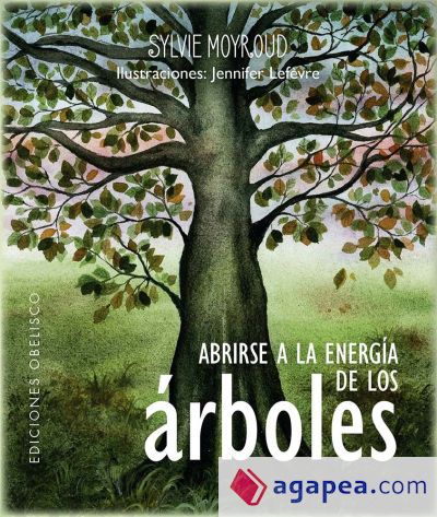 Abrirse a la energía de los árboles