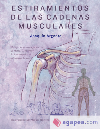 Estiramientos de las cadenas musculares