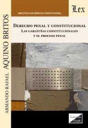 Portada de DERECHO PENAL Y CONSTITUCIONAL