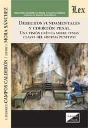 Portada de DERECHOS FUNDAMENTALES Y COERCION PENAL