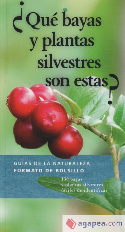 ¿QUÉ BAYAS Y PLANTAS SILVESTRES SON ESTAS?