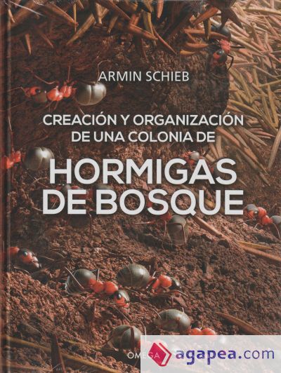 Hormigas del bosque