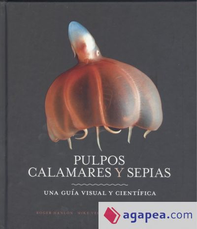 PULPOS, CALAMARES Y SEPIAS