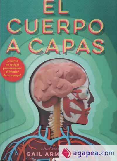 El cuerpo a capas