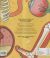 Contraportada de El cuerpo humano bajo la lupa, de Jane Wilsher