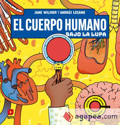 El cuerpo humano bajo la lupa El cuerpo humano bajo la lupa