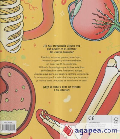El cuerpo humano bajo la lupa El cuerpo humano bajo la lupa
