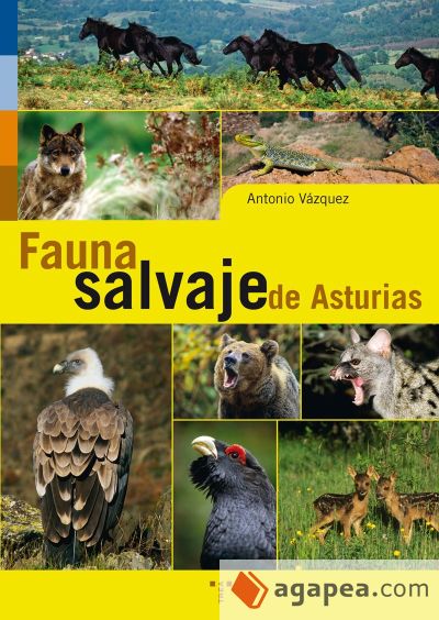 Fauna salvaje de Asturias