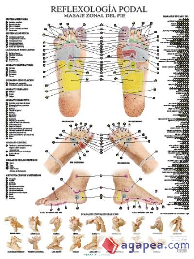 LÁMINAS. REFLEXOLOGÍA PODAL (N.E.)