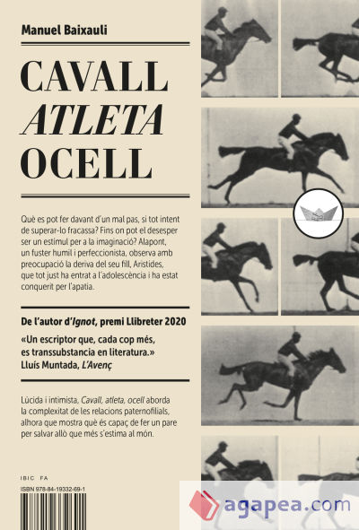 Cavall, atleta, ocell