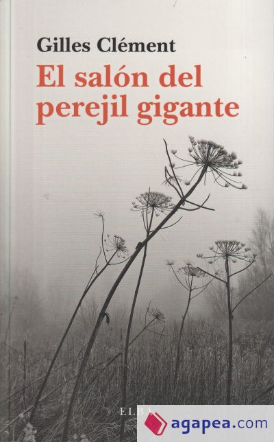 El perejil gigante