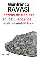 Portada de PIEDRAS DE TROPIEZO EN LOS EVANGELIOS (Ebook)