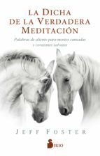 Portada de La dicha de la verdadera meditación. Palabras de aliento para mentes cansadas y corazones salvajes (Ebook)
