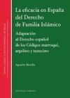 EFICACIA EN ESPA&Ntilde;A DEL DERECHO DE FAMILIA ISL&Aacute;MICO ADAPTACI&Oacute;N AL DERECHO ESPA&Ntilde;OL