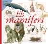 ELS MAMIFERS