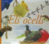 ELS OCELLS