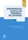 Enfermedad Vascular Cerebral En Jovenes