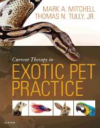 Portada de Current Therapy in Exotic Pet Practice