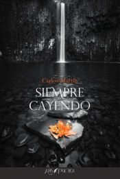 Portada de Siempre cayendo