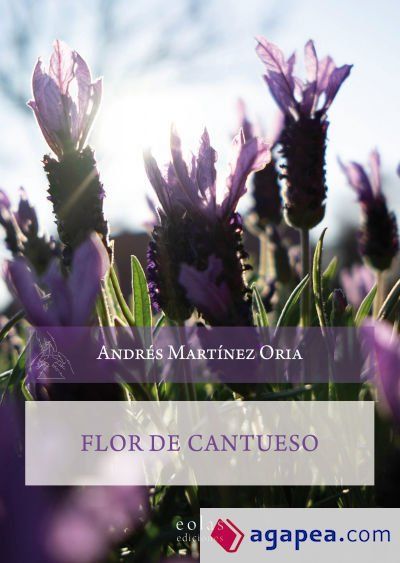 Flor de de cantueso Flor de de cantueso