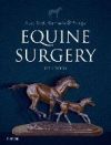 EQUINE SURGERY