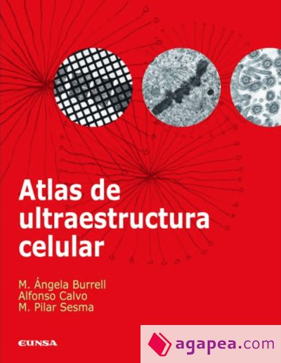 Atlas de ultraestructura celular