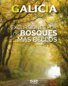 EXCURSIONES A LOS BOSQUES MAS BELLOS. GALICIA