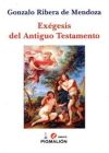 Exegesis Del Antiguo Testamento