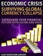 Portada de Economic Crisis: Surviving Global Currency Collapse - Safeguard Your Financial Future with Silver and Gold (Ebook)