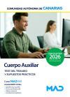 Cuerpo Auxiliar. Test Del Temario Y Supuestos Pr&aacute;cticos. Comunidad Aut&oacute;noma De Canarias
