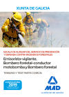 Escala de Auxiliar del Servicio de Prevención y Defensa Contra Incendios Forestales (especialidades emisorista/vigilante, bombero forestal-conductor motobomba y bombero forestal) de la Comunidad Autónoma de Galicia. Temario y test Parte