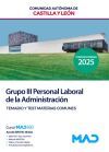 Grupo Iii Personal Laboral. Temario Y Test Materias Comunes. Comunidad Aut&oacute;noma De Castilla Y Le&oacute;n