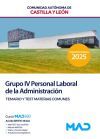 Grupo Iv Personal Laboral. Temario Y Test Materias Comunes. Comunidad Aut&oacute;noma De Castilla Y Le&oacute;n