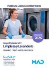 Limpieza Y Lavander&iacute;a (grupo Profesional E1). Temario Y Test&nbsp;parte Espec&iacute;fica. Ministerios