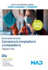 Personal De Servicios Camarero/a-limpiador/a Y Limpiador/a (grupo V Personal Laboral). Islas De Gran Canaria Y Tenerife. Temario Y Test