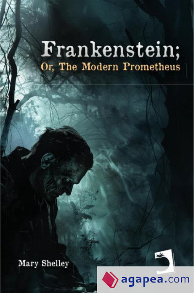 Frankenstein; or, The modern Prometheus