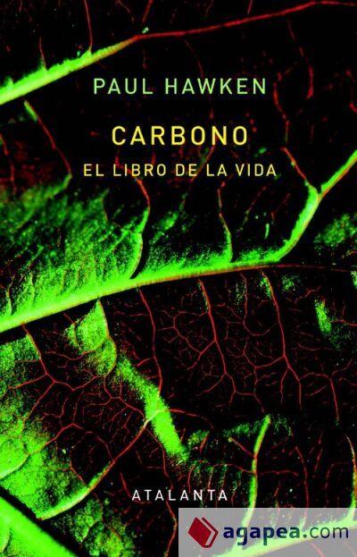 Carbono Carbono