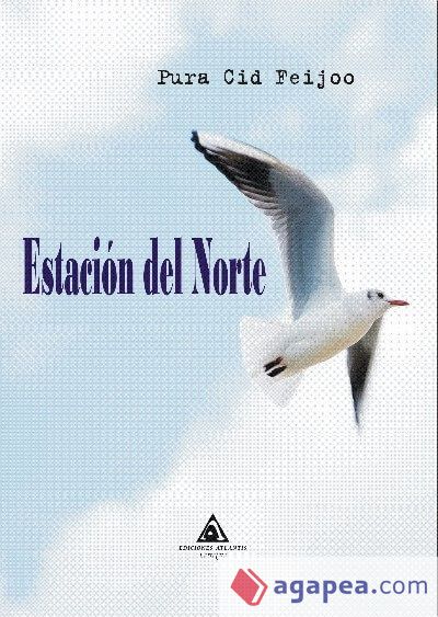 Estación del Norte