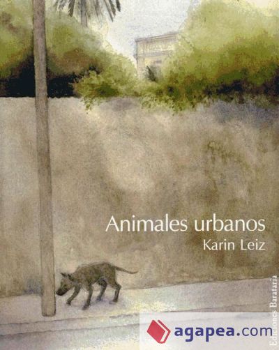 Animales urbanos