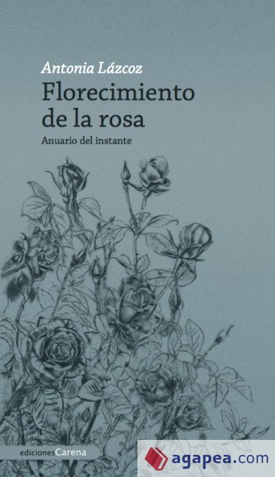 Florecimiento de la rosa