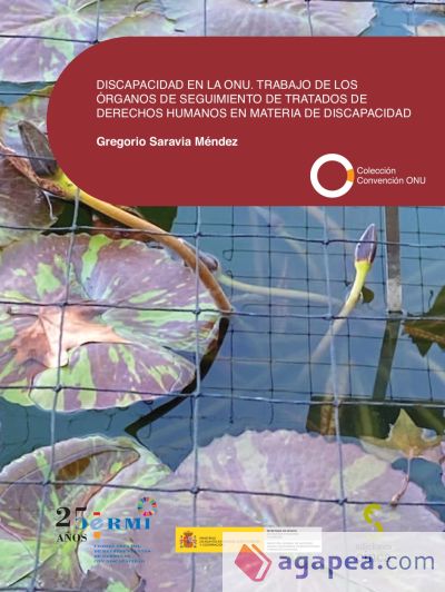 Discapacidad en la ONU. Trabajo de los órganos de seguimiento de tratados de derechos humanos en materia de discapacidad