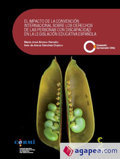 EL IMPACTO DE LA CONVENCIÓN INTERNACIONAL SOBRE LOS DERECHOS DE LAS PERSONAS CON DISCAPACIDAD EN LA LEGISLACIÓN EDUCATIVA ESPAÑOLA