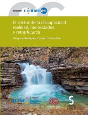 Portada de EL SECTOR DE LA DISCAPACIDAD: REALIDAD, NECESIDADES Y RETOS FUTUROS. An&aacute;lisis de la situaci&oacute;n de la poblaci&oacute;n con discapacidad y de las entidades del movimiento asociativo y aproximaci&oacute;n a sus retos y necesidades en el