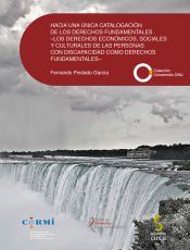 Portada de HACIA UNA &Uacute;NICA CATALOGACI&Oacute;N DE LOS DERECHOS FUNDAMENTALES- LOS DERECHOS ECON&Oacute;MICOS, SOCIALES Y CULTURALES DE LAS PERSONAS CON DISCAPACIDAD COMO DERECHOS FUNDAMENTALES