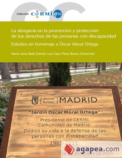 La abogac&iacute;a en la promoci&oacute;n y protecci&oacute;n de los derechos de las personas con discapacidad