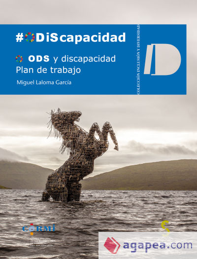 ODS Y DISCAPACIDAD: PLAN DE TRABAJO