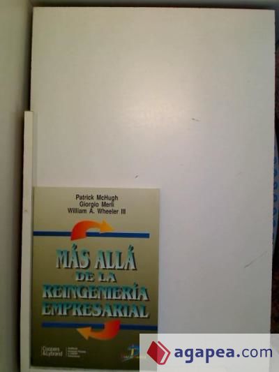 Más allá de la reingeniería empresarial