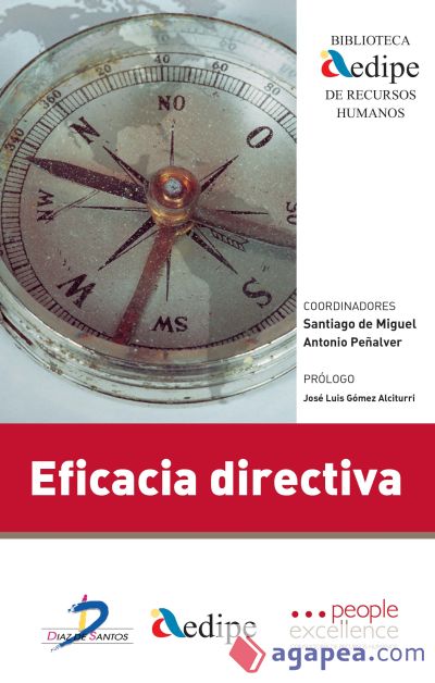 Eficacia directiva (Ebook)